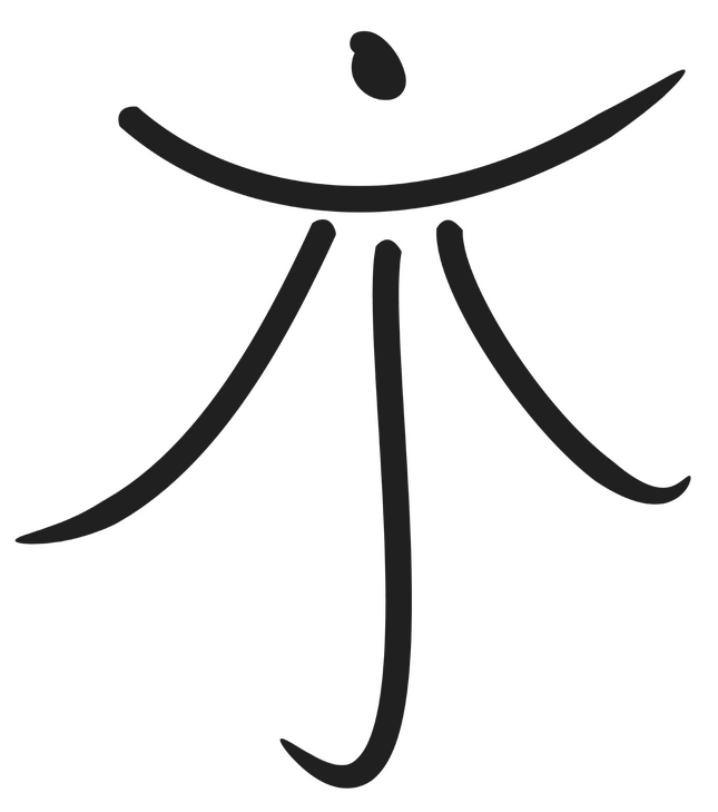 Medicina Chinesa, Acupuntura, Massagem, Ventosas, Faro, Lisboa Moxabustão, Tuina, Fitoterapia, Plantas Medicinais