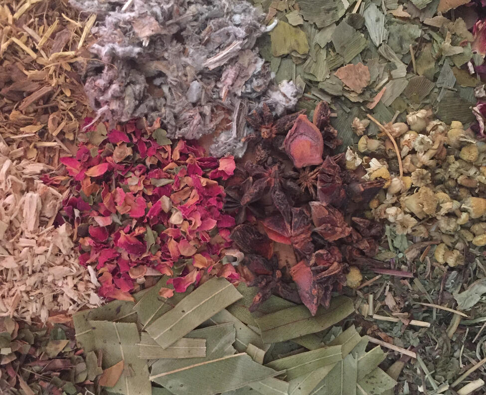 plantas medicinais, plantas terapêuticas